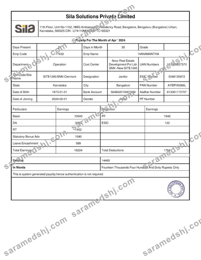 Sila Solutions payslip template in Word and PDF formats.pdf, 1